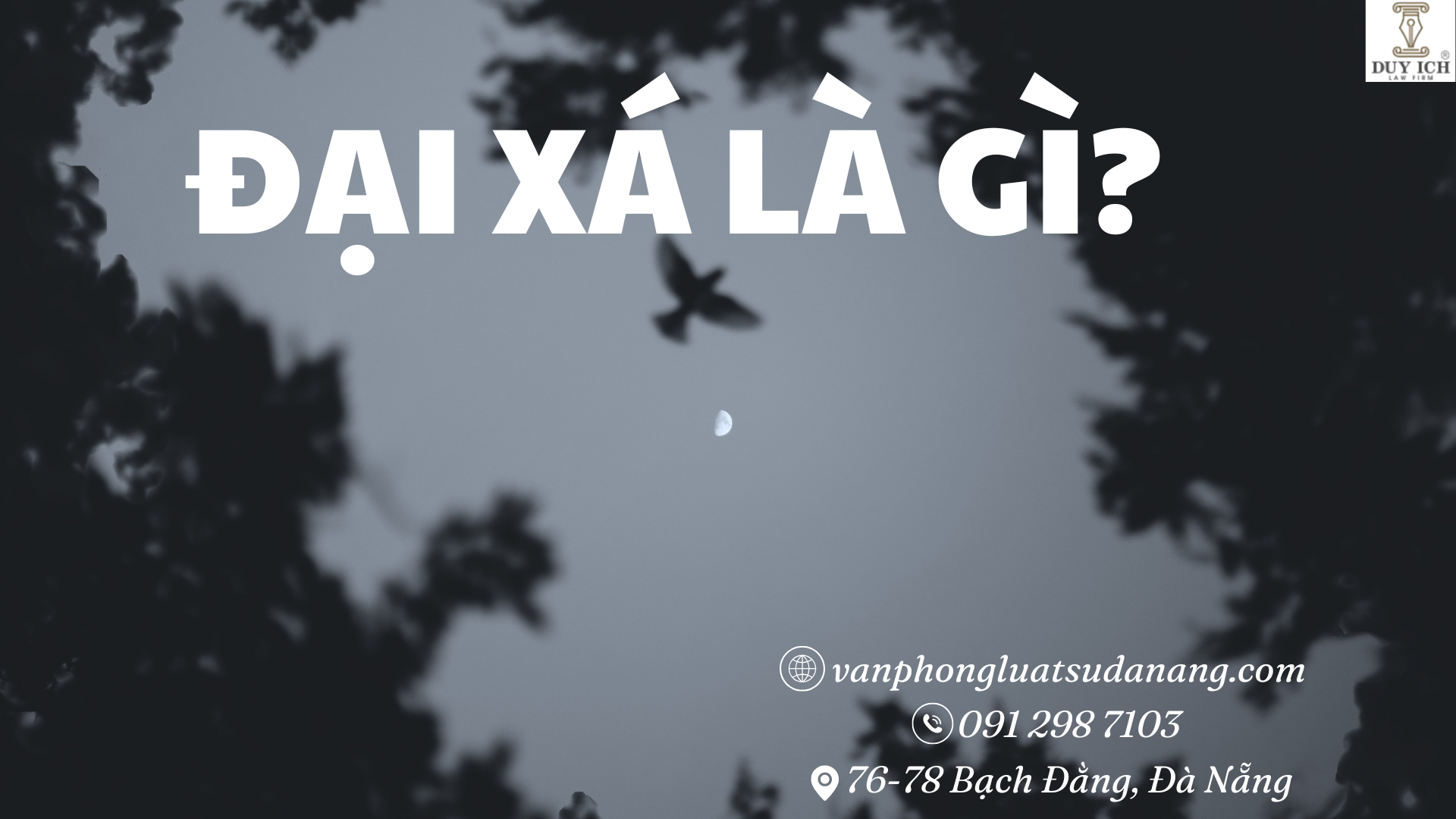 Đại xá là gì?