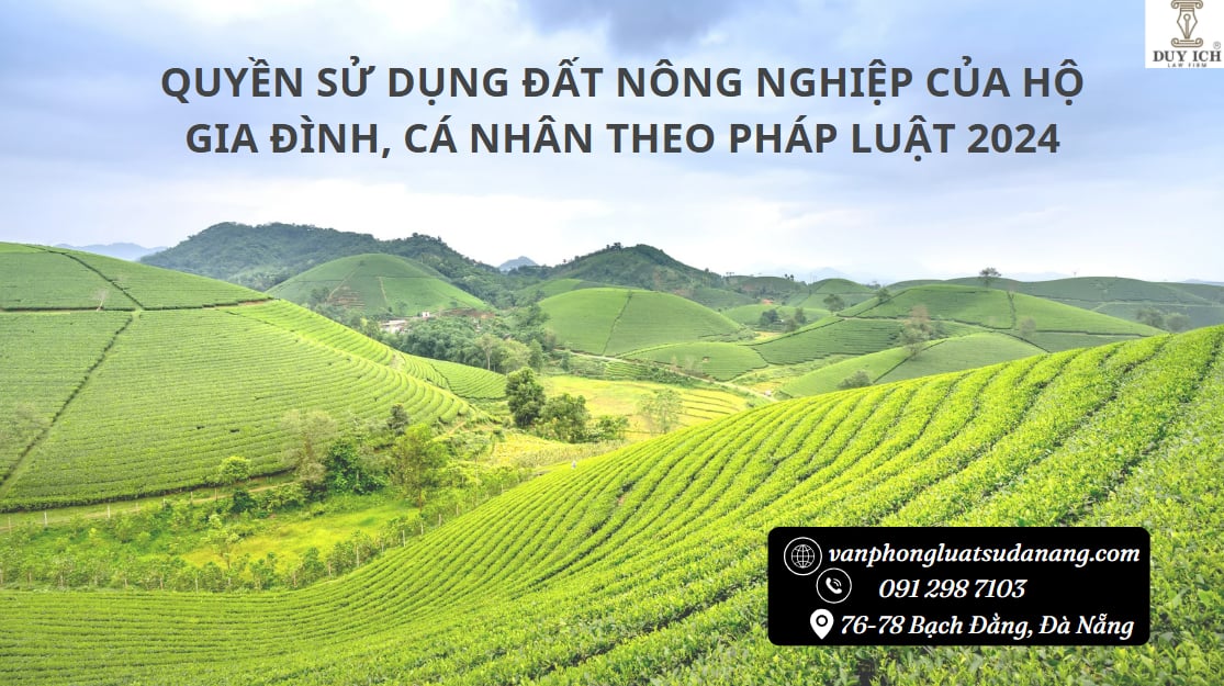 Quyền sử dụng đất nông nghiệp năm 2024