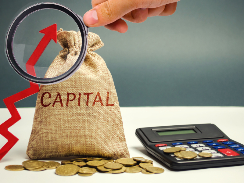 VỐN ĐIỀU LỆ SAU KHI THÀNH LẬP TỔ CHỨC KINH TẾ TẠI VIỆT NAM