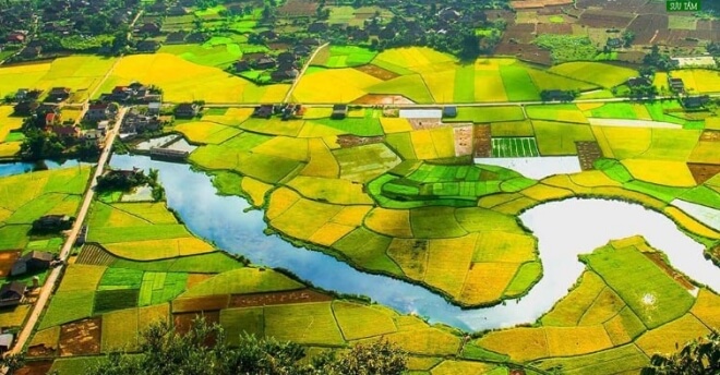 chiếm dụng đất