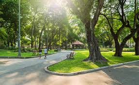 Không được cấp sổ đỏ