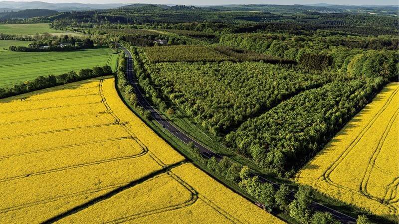 Pháp luật không cho phép cấp sổ đỏ đối với đất công ích