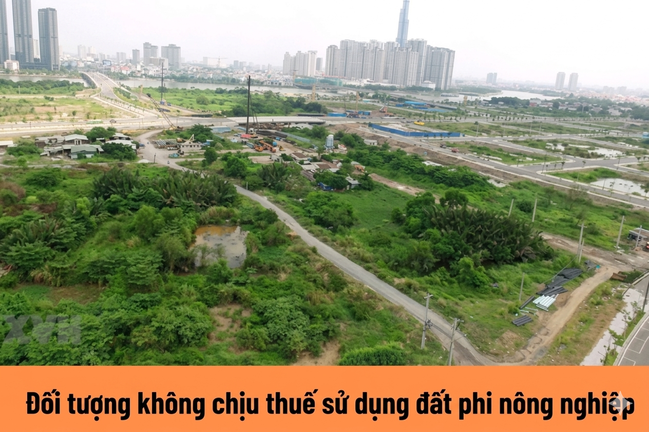 Thuế sử dụng đất phi nông nghiệp