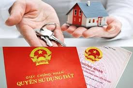 Đất khai hoang